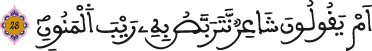 الطور 28