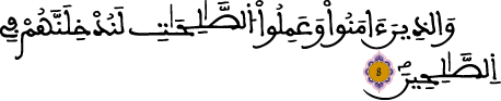 العنكبوت 8