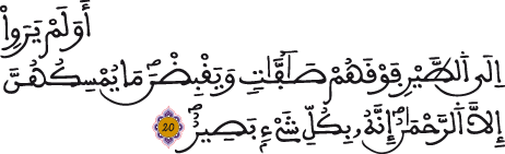 الملك 20