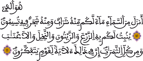 النحل 10 11