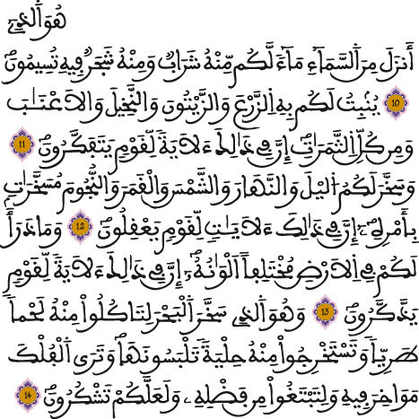 النحل 10 14