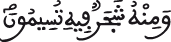 النحل 10 3