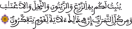 النحل 11