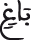 النحل 114 5