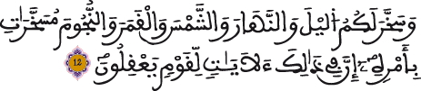 النحل 12