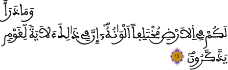 النحل 13