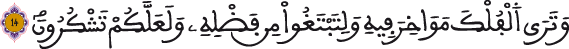 النحل 14 4