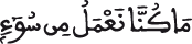 النحل 28 6