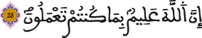 النحل 28 7
