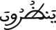 النحل 29 5
