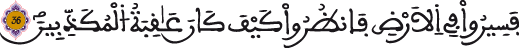 النحل 36 3