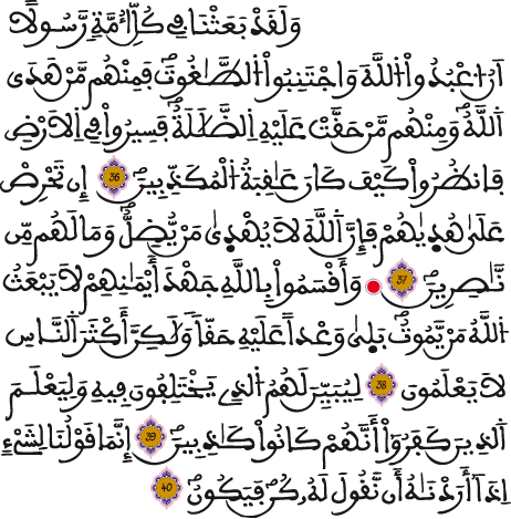 النحل 36 40