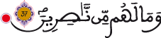 النحل 37 2