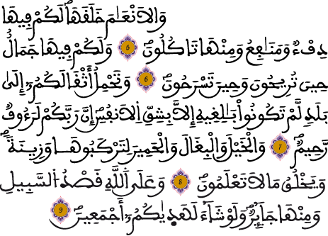 النحل 5 9