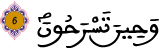 النحل 6 2