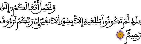 النحل 7