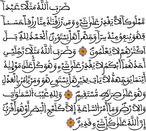 النحل 75 77