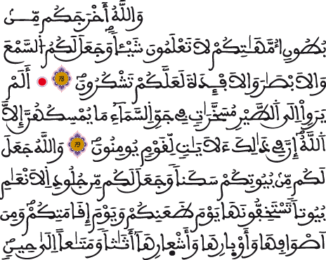 النحل 78 80