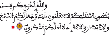 النحل 78