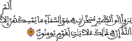 النحل 79