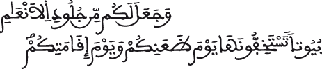 النحل 80 2