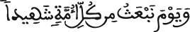 النحل 84