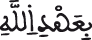 النحل 93 8