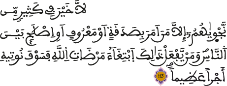 النساء 113