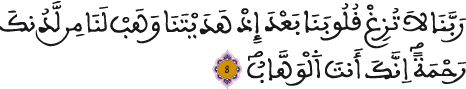 سورة آل عمران الآية 8
