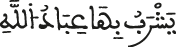 سورة الإنسان الآية 6