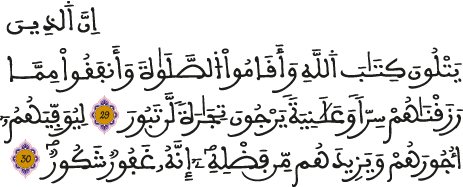 سورة فاطر الآيتين 29 و30