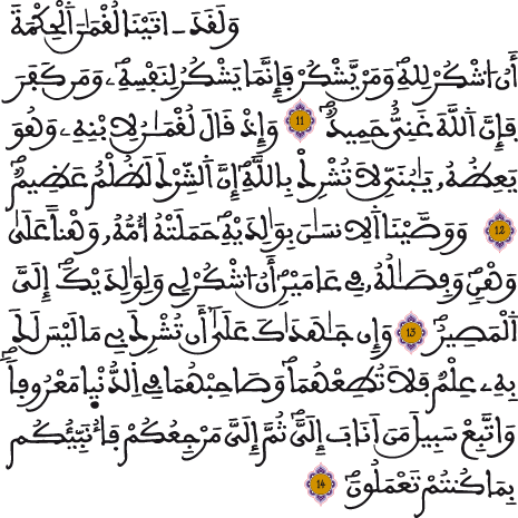 سورة لقمان 11 14