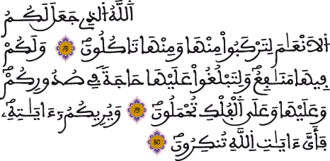 غافر 78 80