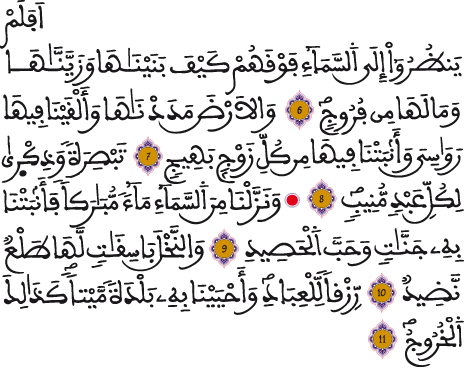 ق 6 11