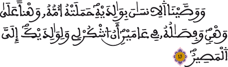 لقمان 12