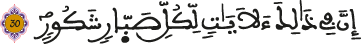 لقمان 30 3