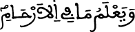 لقمان 33 4