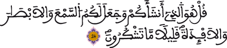 االملك 24