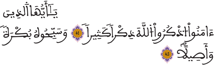 الأحزاب 41 42