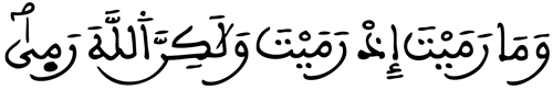 الأنفال 17