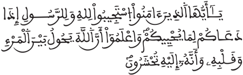 الأنفال 24