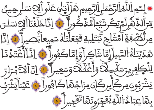 الإنسان 1 6