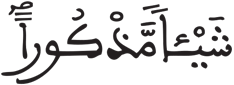 الإنسان 1 8