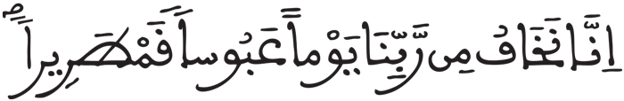 الإنسان 10 2