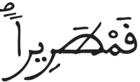 الإنسان 10