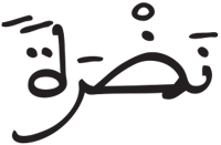 الإنسان 11