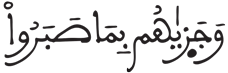 الإنسان 12