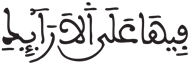 الإنسان 12 5