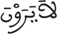 الإنسان 13 3