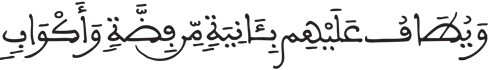 الإنسان 15 2
